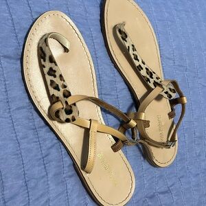 Sophia Milano leopard sandals